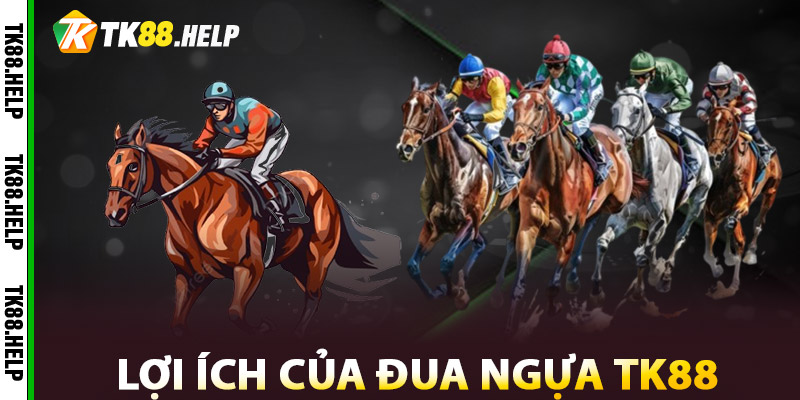 Lợi Ích Của Đua Ngựa TK88